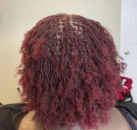 Micro Locs with Scarlet Tips