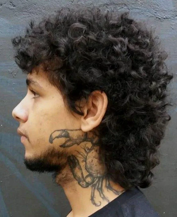 26 Iconic Curly Mullet Hairstyles For Men in 2023