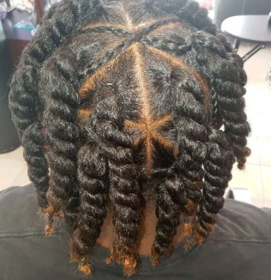 Two Strand Twist With Crossed Twist