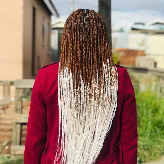 Bronze and Silver Knotless Box Braids