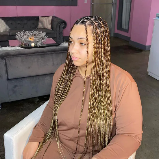 Side Part Golden Knotless Box Braids