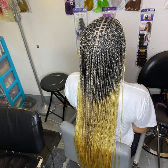 Crisscross Knotless Box Braids With Frosted Tip